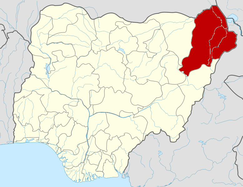 Terrorism: 76 primary schools closed, 80 students still missing in Borno