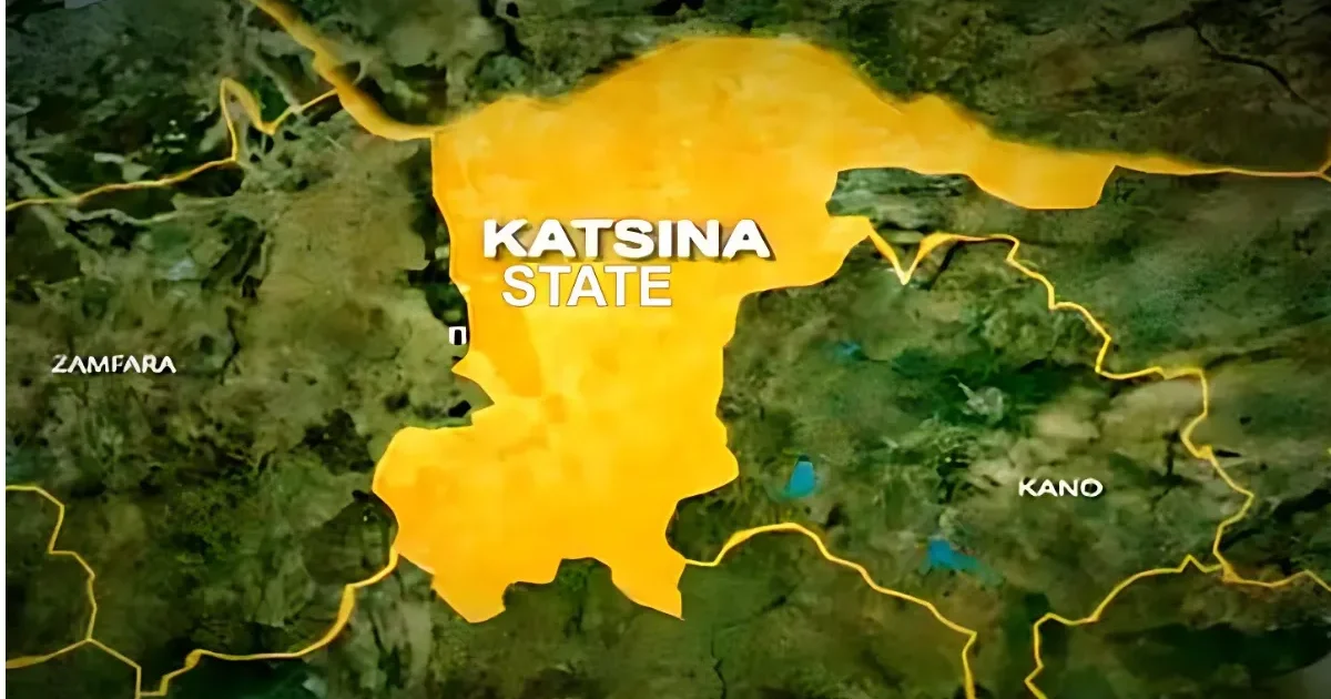 19-Year-Old Arrested for Attempted Robbery with Toy Gun in Katsina