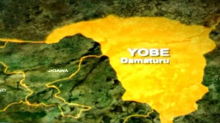 Yobe State Starts Candidate Screening for Local Elections
