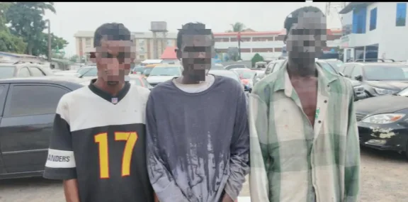 Three Arrested for Carjacking in Lagos, Guns Found
