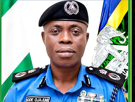 Ogun Police Arrest Man for Rape of 19-Year-Old