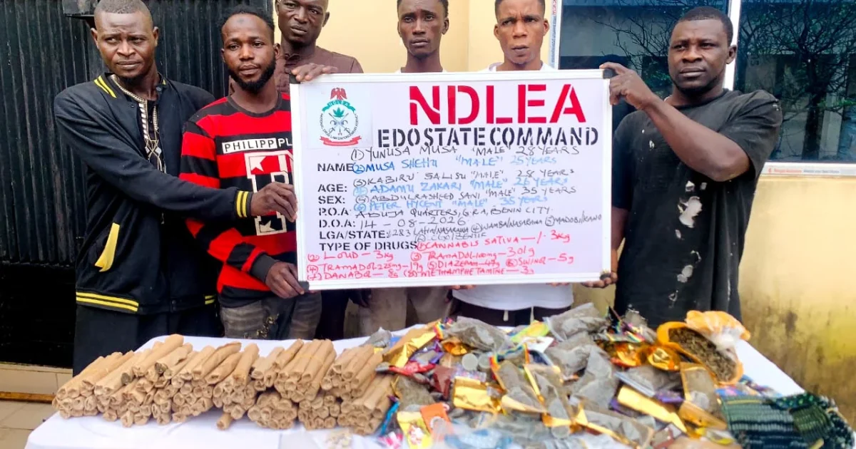 NDLEA arrests 68 people, seizes 7,500kg of drugs in Edo