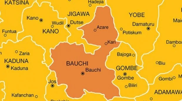 Police stop cattle theft, recover eight cows in Bauchi