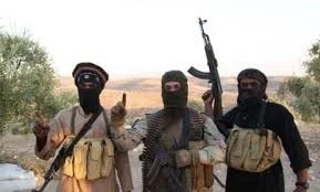 Gunmen Attack Adamawa Village, 11 Confirmed Dead