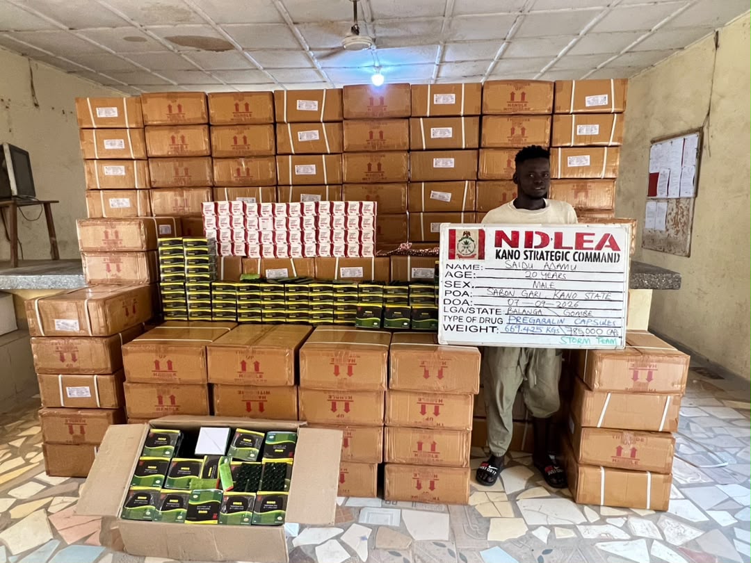 NDLEA confiscates large amounts of cannabis and drugs in seven states