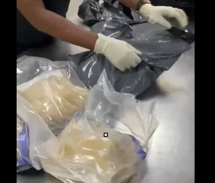 NDLEA finds drugs in bread, arrests real estate agent