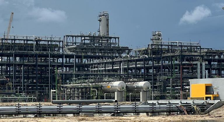 Dangote Refinery to reward retail investors with extra shares in first two years