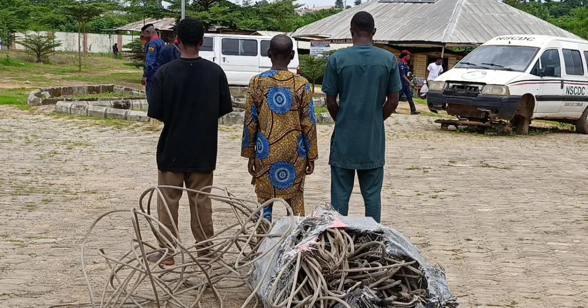 Father and Son Arrested for Stealing Electricity Cables in Osun