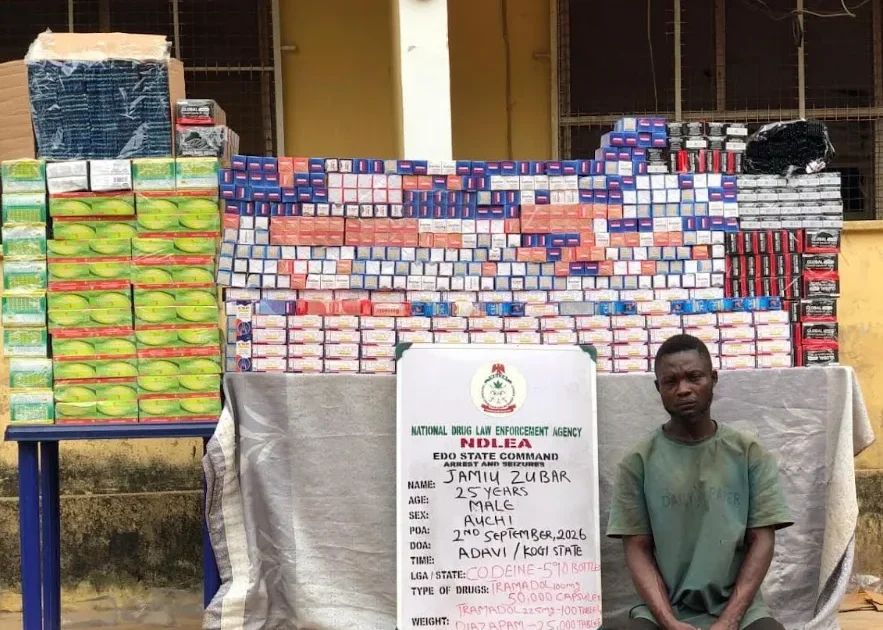 NDLEA destroys five cannabis farms, arrests three suspects in Edo State