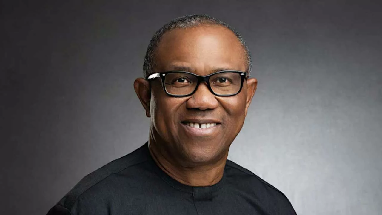 Is Peter Obi's university degree fake? Here’s what we found out