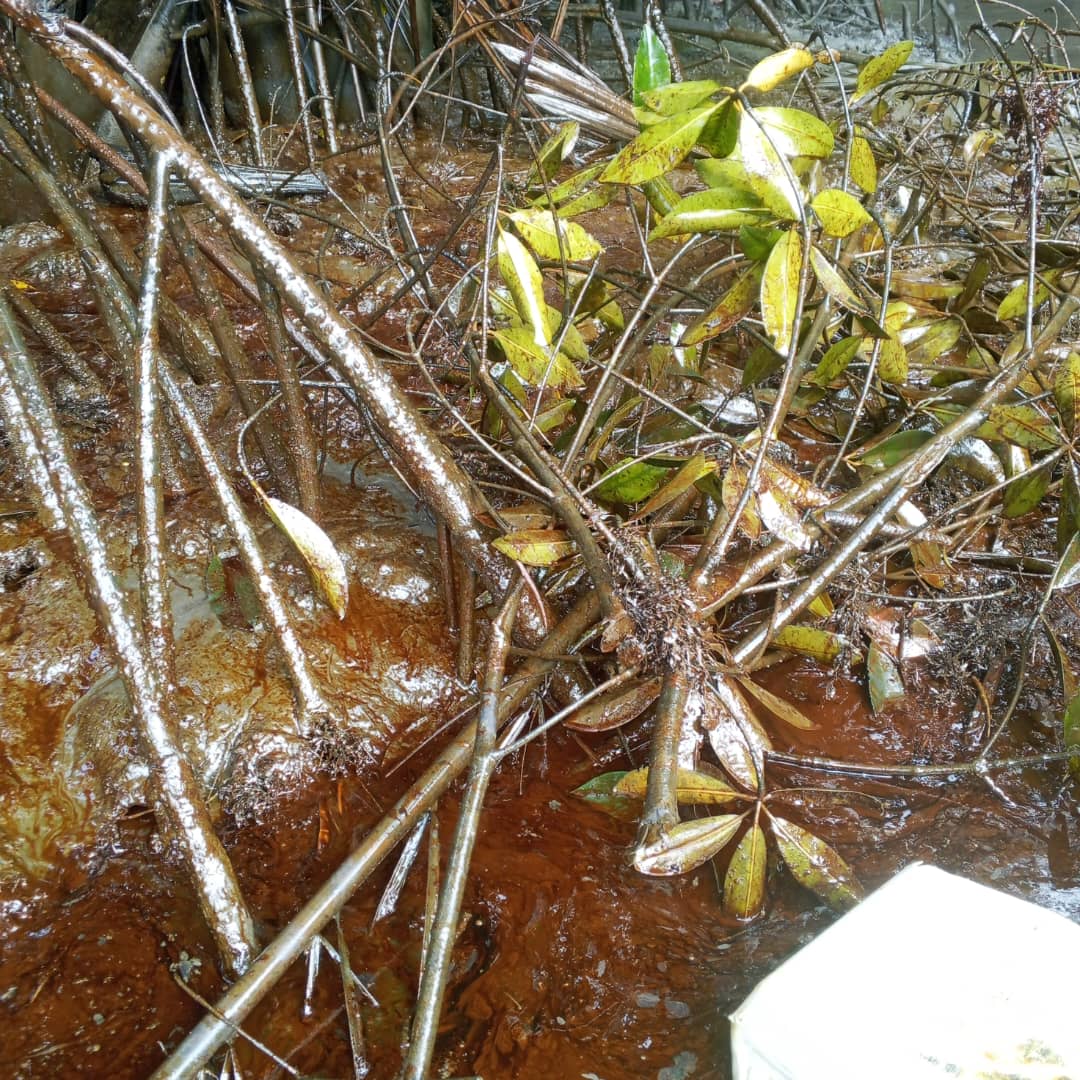 Residents of Akwa Ibom Community Demand Cleanup After Oil Spill