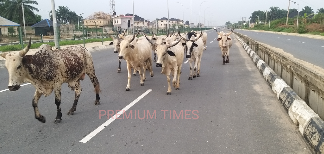 Cross River to Create Ranches and Livestock Areas to Reduce Conflicts