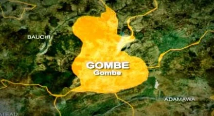 Gombe by-election: Residents celebrate peaceful voting, INEC notes low turnout