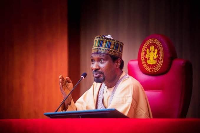Senate Deputy President fires aide for disrespectful posts about Kano governor