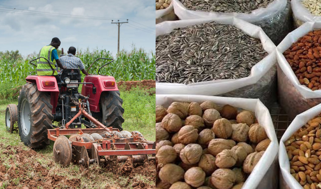 Uyo to host 5th Agribusiness conference, aiming for investments and jobs