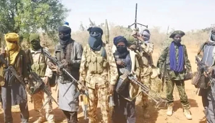 Gunmen kill two and steal livestock in Sokoto village