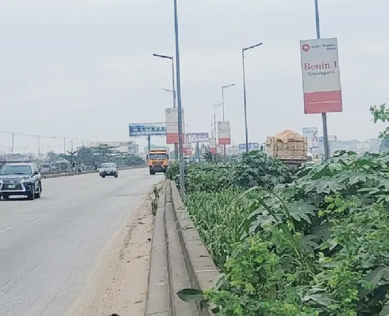 Lagos-Ibadan Longbridge Faces Darkness as More Streetlights Go Missing