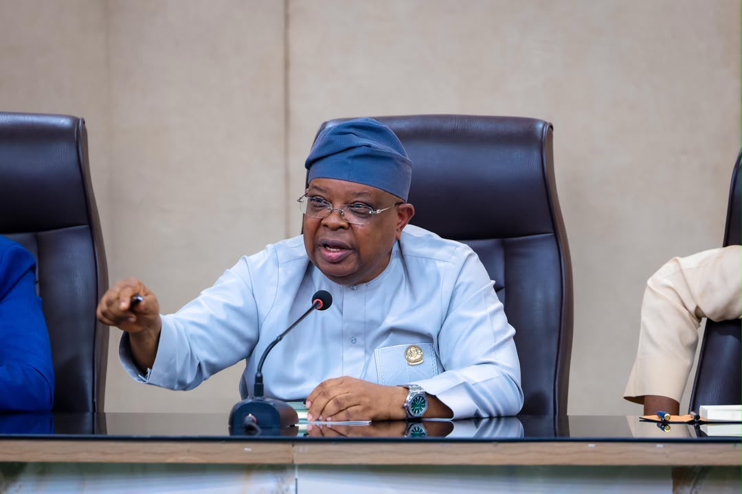 Nigeria’s Power Minister Shares Plans After 100 Days in Office