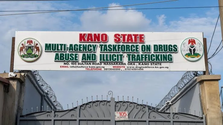 Kano group aims to help 10,000 drug users get off the streets