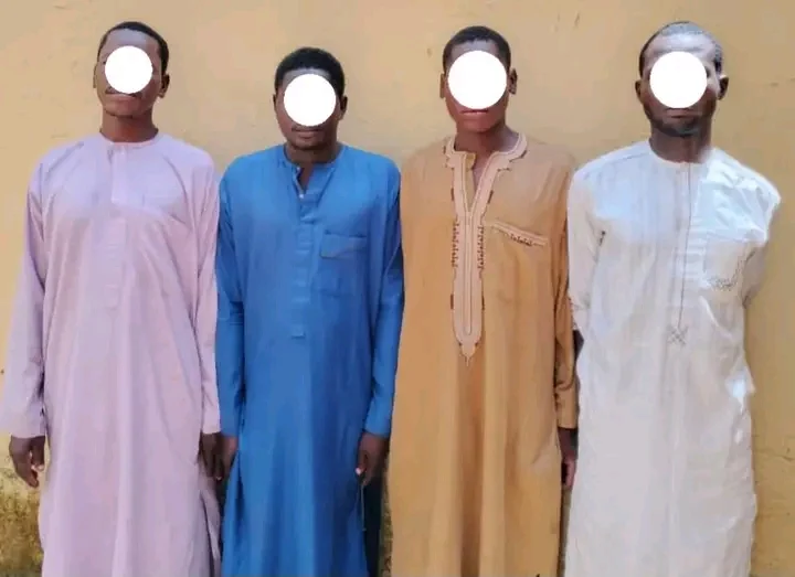 Six People Arrested for Drugs and Murder in Bauchi