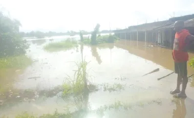 Flood in Enugu Claims Lives and Destroys Villages