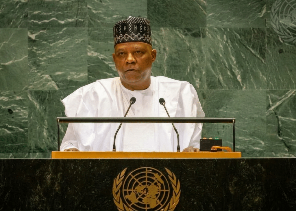 Shettima asks Nigerians abroad to support Tinubu's plans