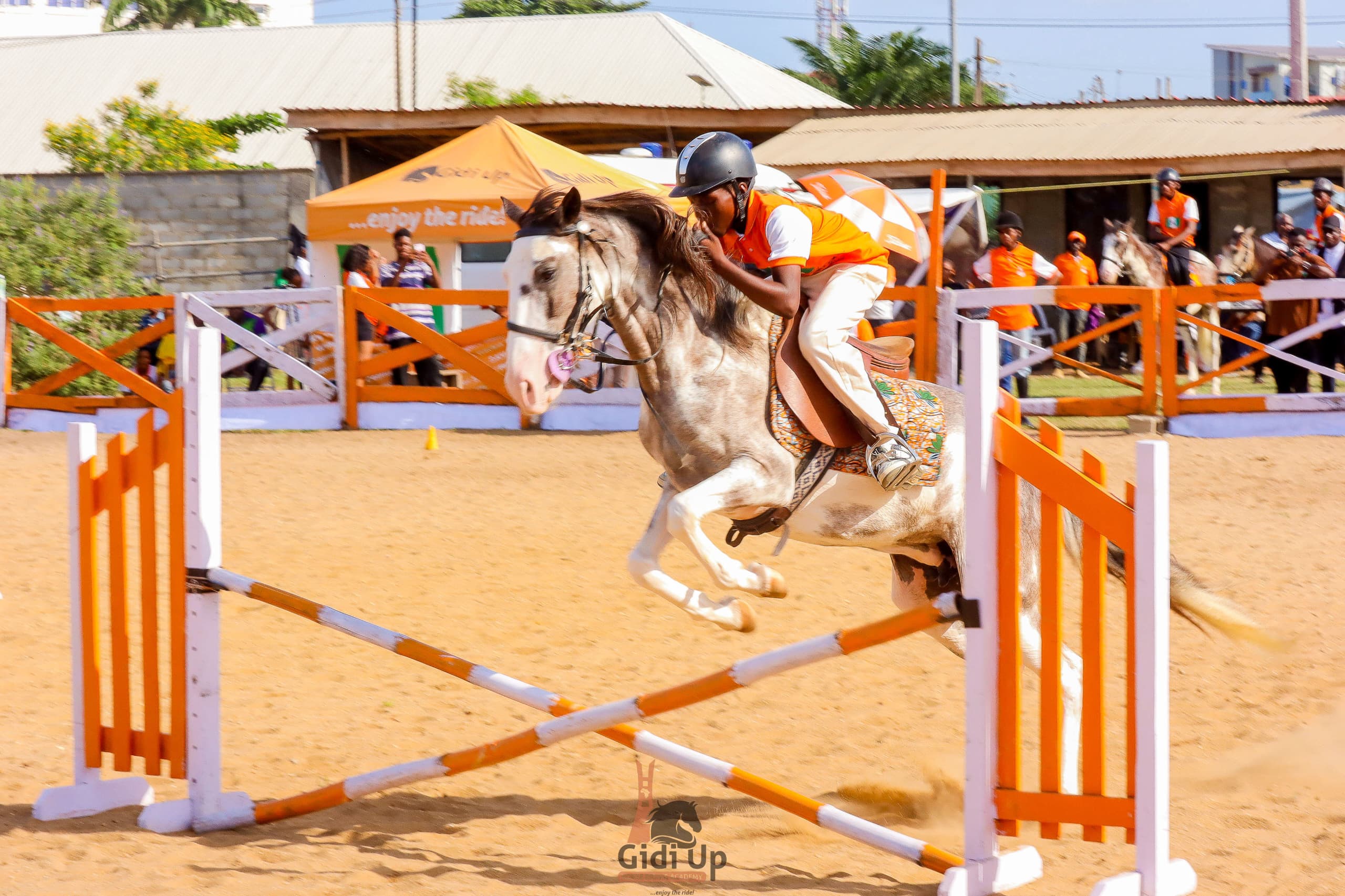 FEI Team Visits Nigeria to Support Equestrian Sports Bid