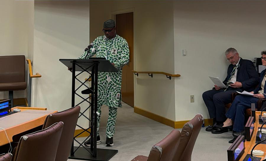 Nigeria pushes for fair pandemic funding and vaccine access at UN