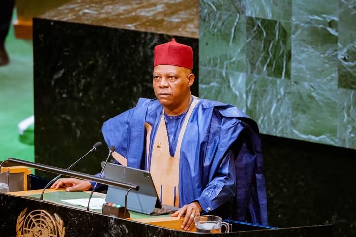 Shettima Says Africa Needs a Seat at the UN Security Council