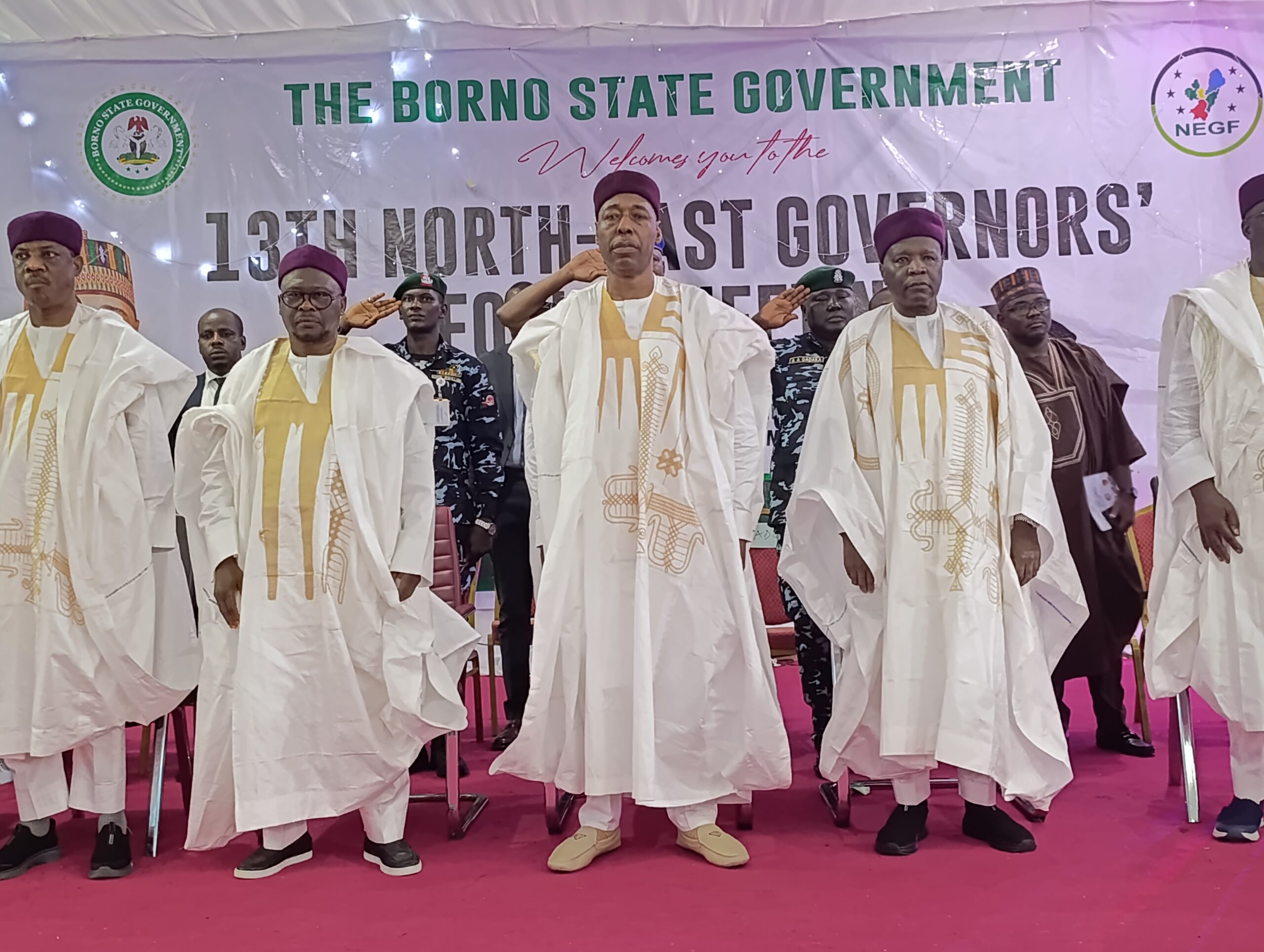 Northeast governors gather ₦10.8 billion for new airline