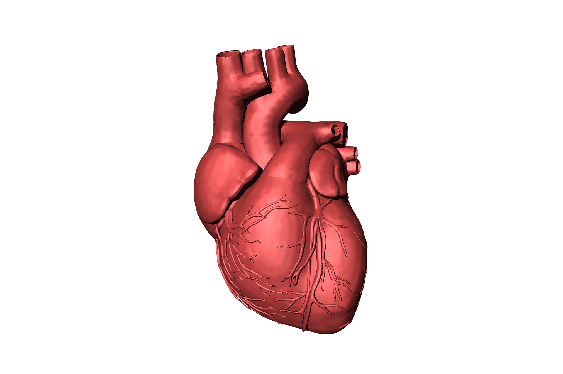 Doctor warns soldiers about heart health risks