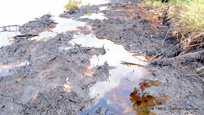 The High Costs of Environmental Reporting in Africa