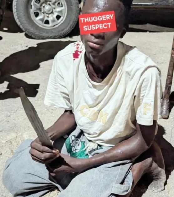 Bauchi Police Arrest Two Suspects for Disturbances