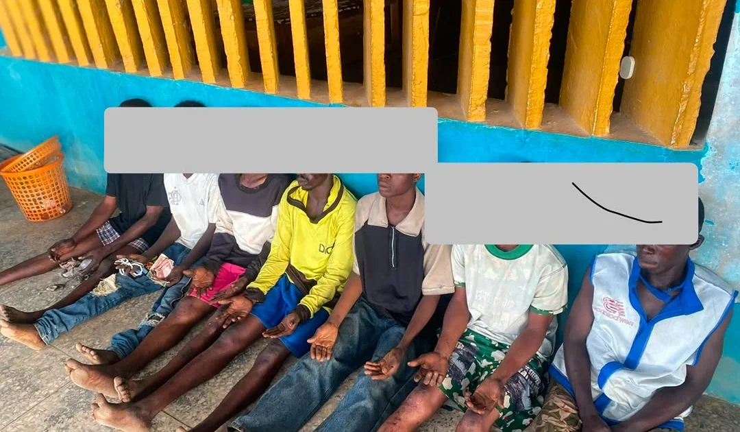 Police nab six suspected cultists in Osun raids