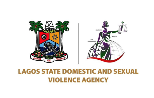 Lagos launches directory to assist GBV survivors across Nigeria