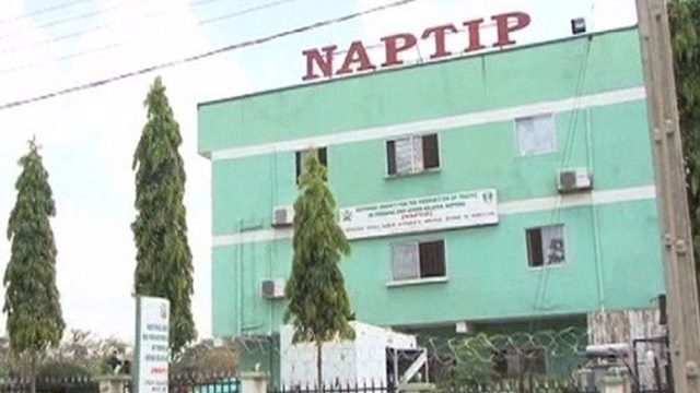 Bauchi State Sees 70 Human Trafficking Cases, Three Convictions, NAPTIP