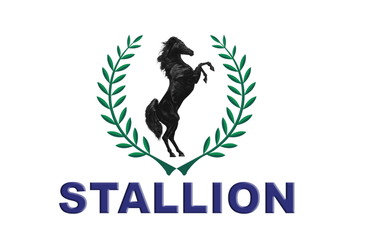 Court Rules in Favor of UBA in N156 Billion Debt Case Against Stallion Group