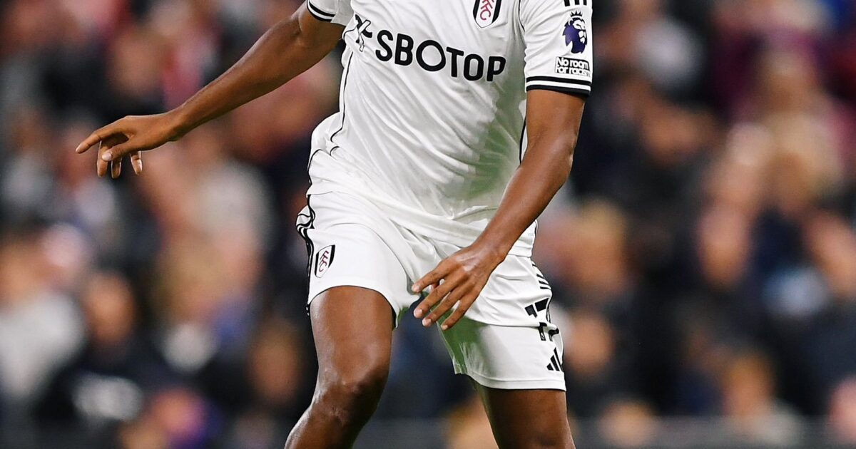 Iwobi's Goal Gives Fulham Their First Win of the Season