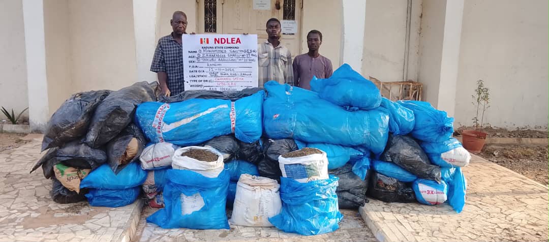 NDLEA seizes N6.98bn tramadol at Lagos port, arrests suspects in multiple states