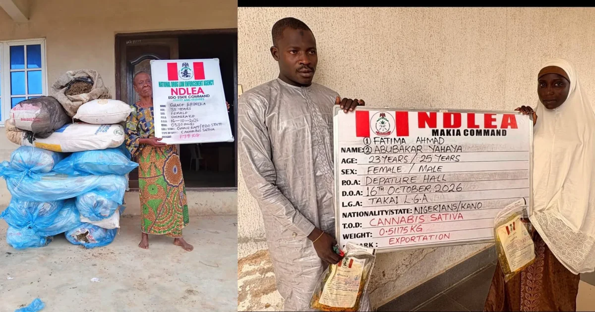 NDLEA seizes cannabis and tramadol in major busts