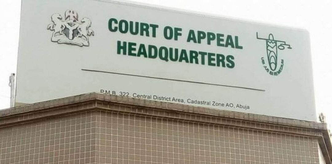 Court of Appeal's Ruling Boosts Human Rights Cases in Nigeria