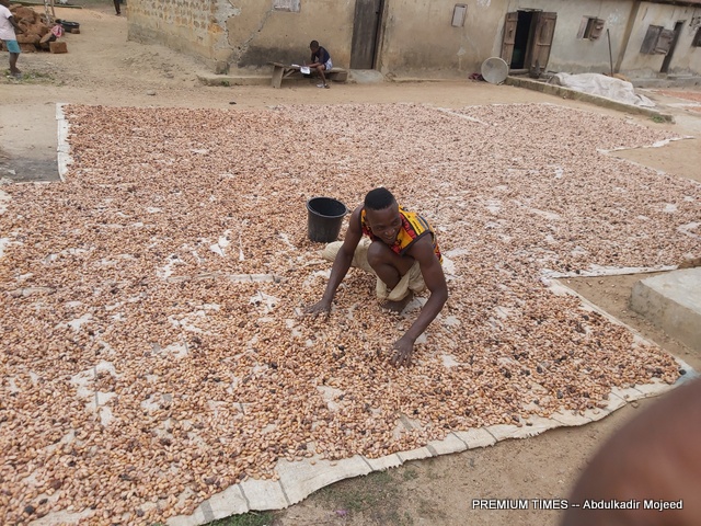 Nigeria’s Cocoa Exports to the US Rise to $142 Million in 2025