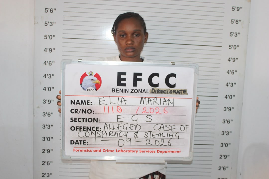 19-Year-Old Woman and Boyfriend in Court for Alleged N35.9m Theft