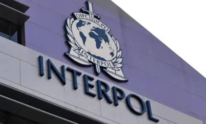 INTERPOL nabs two suspects in Nigeria over $2.4m fraud