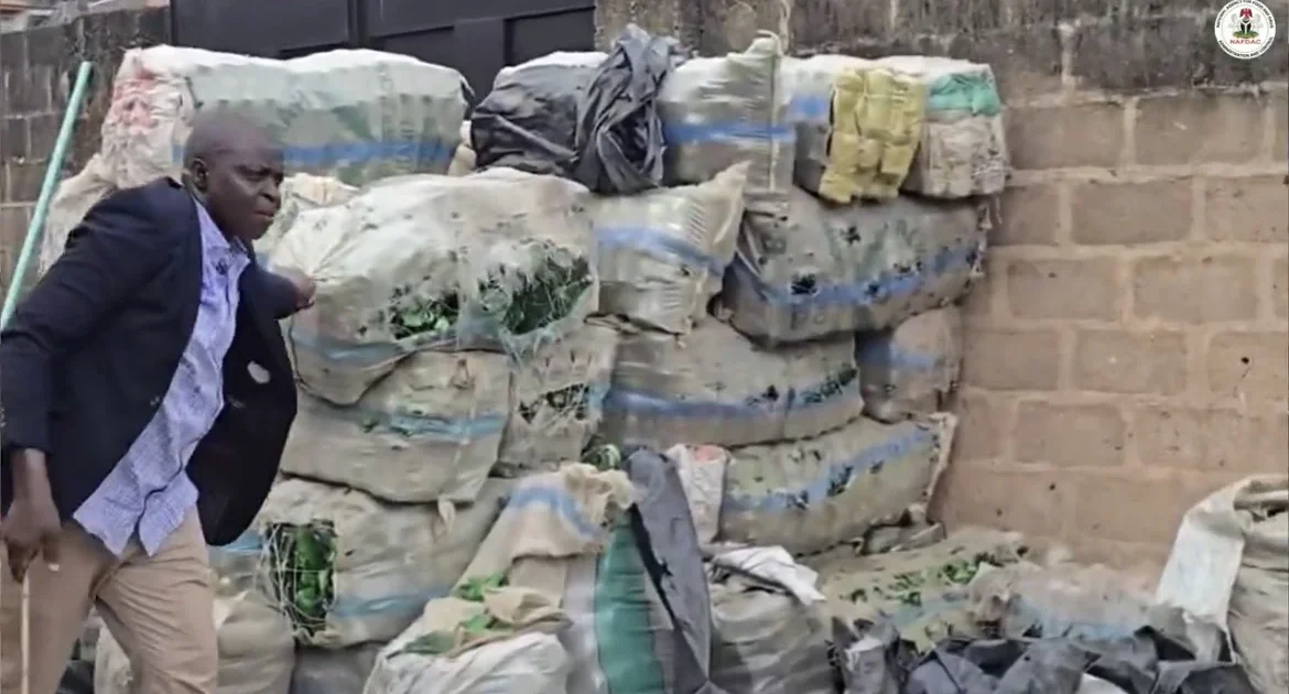 NAFDAC finds building storing empty bottles for fake alcohol in Lagos