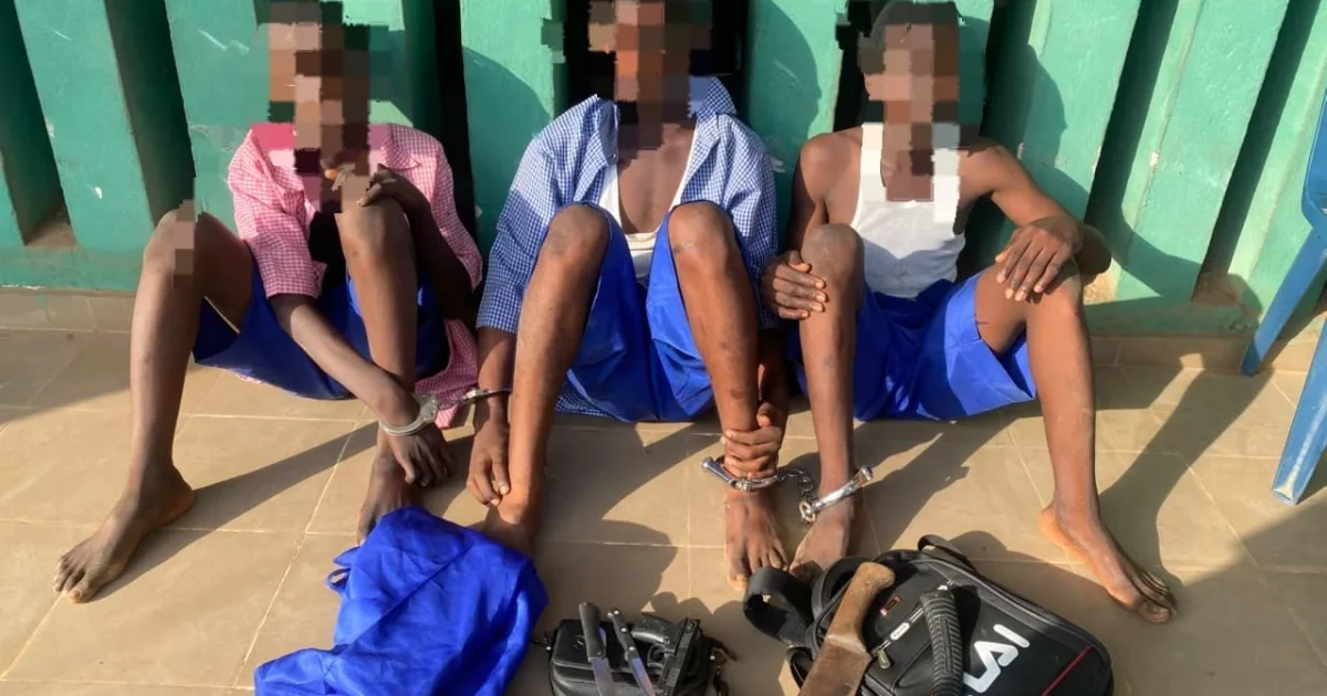 Three Students Arrested in Ogun for Cult Initiation