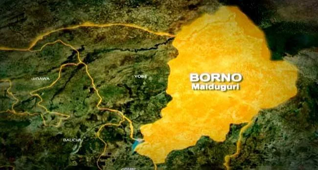 Nigerian troops take out 15 terrorists in Borno air strike