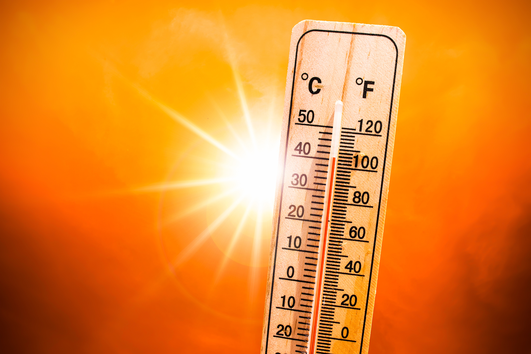 Heat Alert: How to Stay Safe as Nigeria Faces Extreme Heat