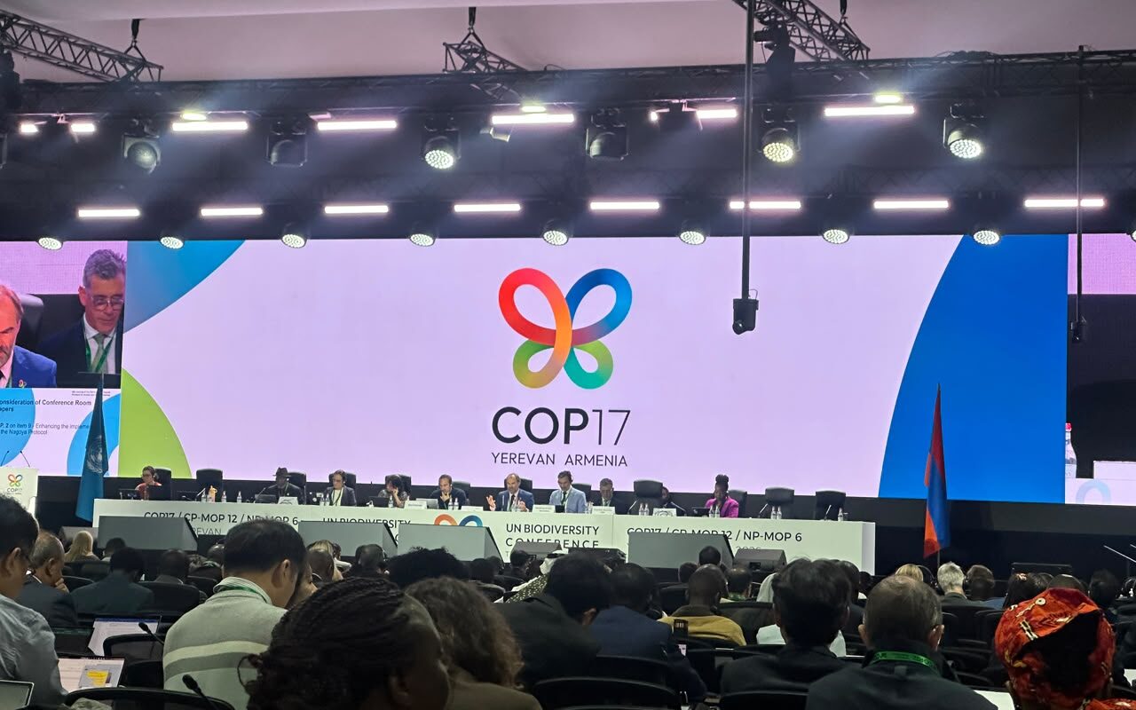 COP17: New $60 Million Pledged for Global Biodiversity Fund