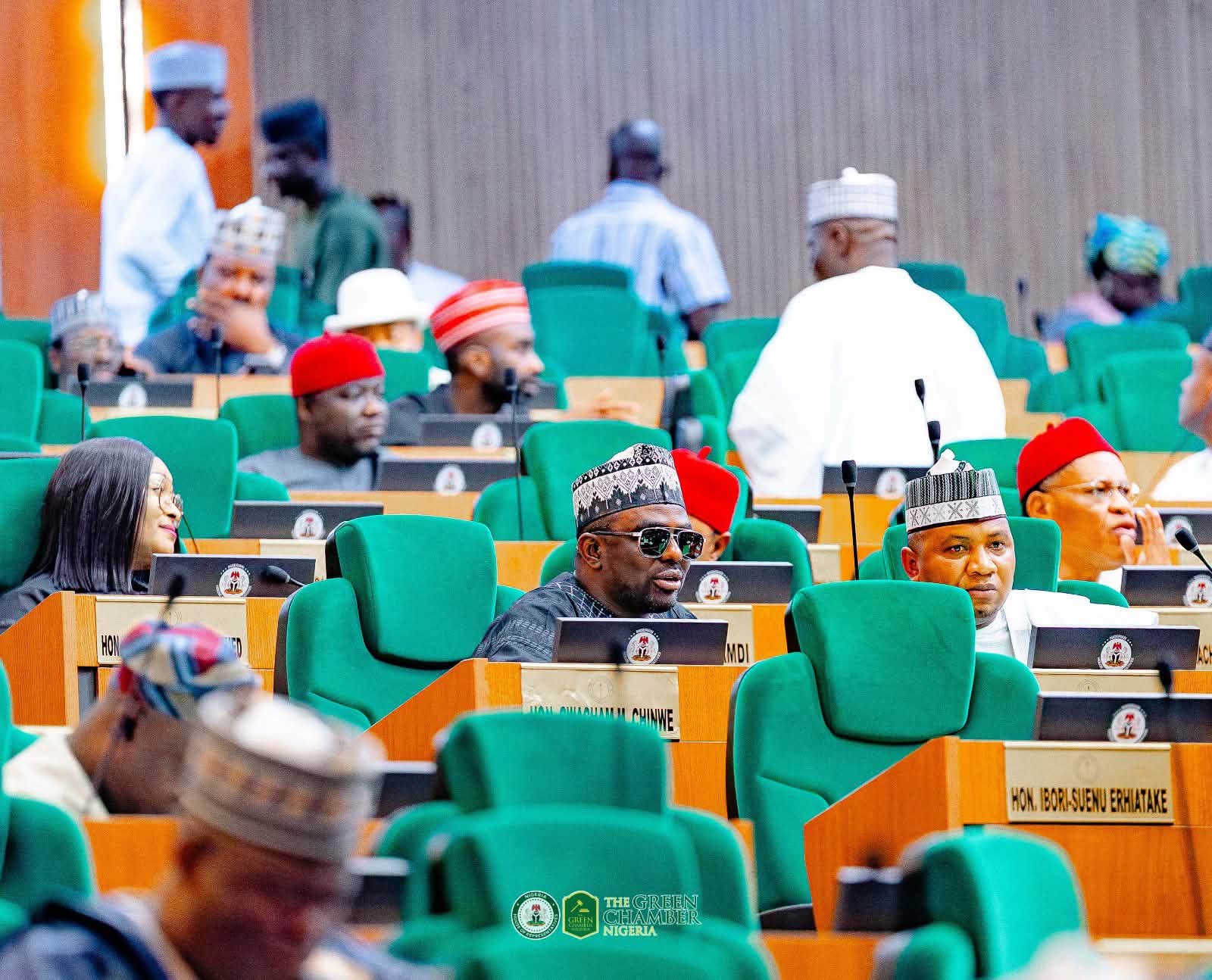 House of Reps Push for Clear Rules on Electric and CNG Vehicle Imports